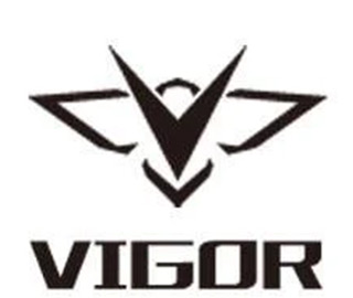 Vigor_logo